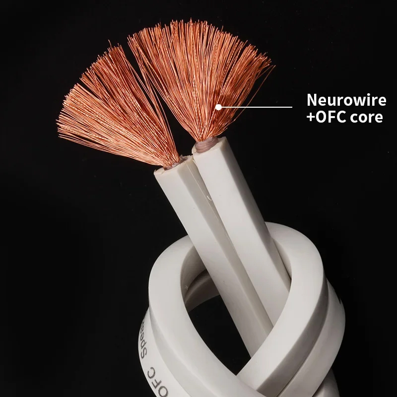 YYTCG DIY Loud Speaker Cable H - Home Cinema Choice บทวิจารณ์และราคา