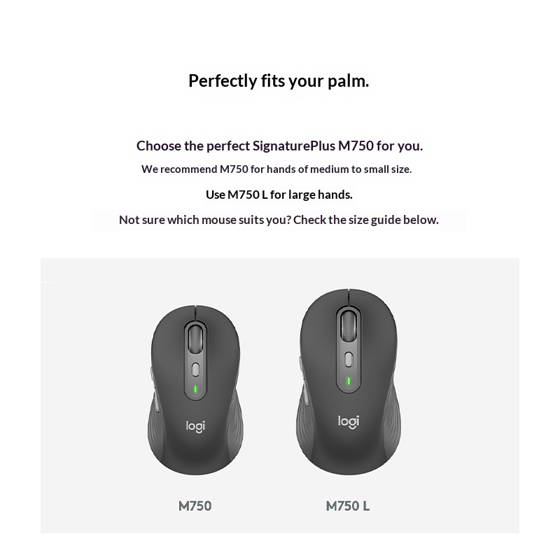 Hot Logitech M750/G304/G203/MX - Logitech Home Cinema บทวิจารณ์และราคา